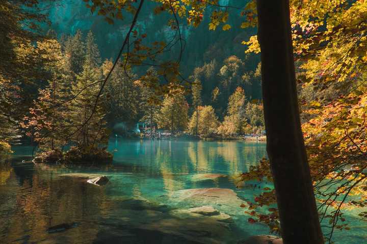 Krajobraz szwajcarski